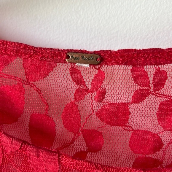 SOLD Free People Floral Mesh Lace Dress - Picture 8 of 12